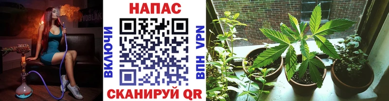 Все наркотики Олёкминск COCAIN СК ГАШИШ ссылка на мегу онион МЕФ МАРИХУАНА