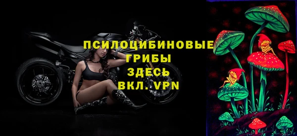 герыч Вяземский
