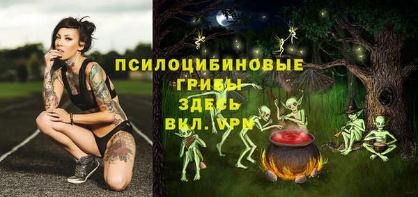герыч Вяземский