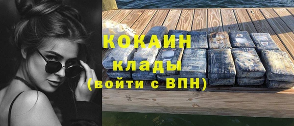 молекула духа Вязьма