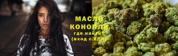молекула духа Вязьма