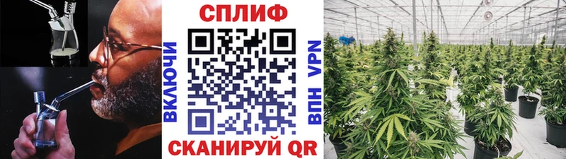 OMG сайт  Олёкминск  Каннабис SATIVA & INDICA  закладка 